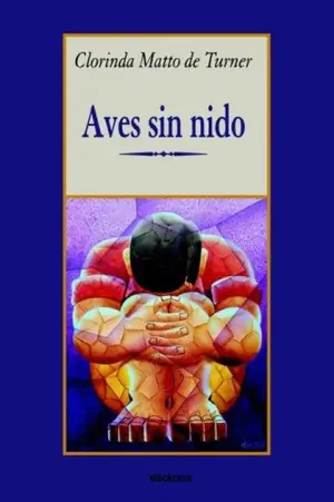 Cover of Aves sin nido by Clorinda Matto de Turner