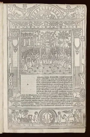 Cover of Decameron by Giovanni Boccaccio