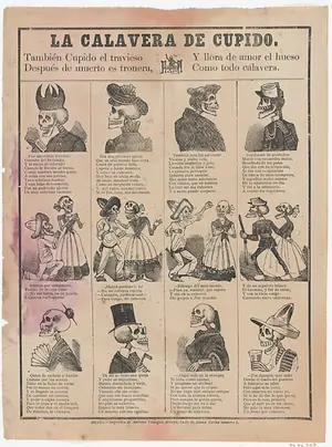 Cover of La bolsa de huesos by Eduardo Ladislao Holmberg