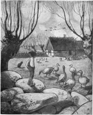 Cover of Le Merveilleux Voyage de Nils Holgersson à travers la Suède by Selma Lagerlöf