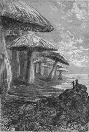 Cover of Voyage au centre de la Terre by Jules Verne